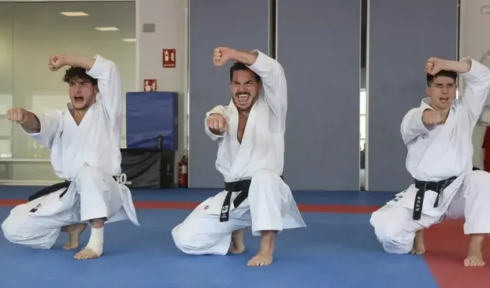 Imagen del Navarra Arena, sede del primer Mundial de selecciones nacionales de kárate en noviembre.